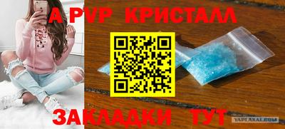 СК Будённовск