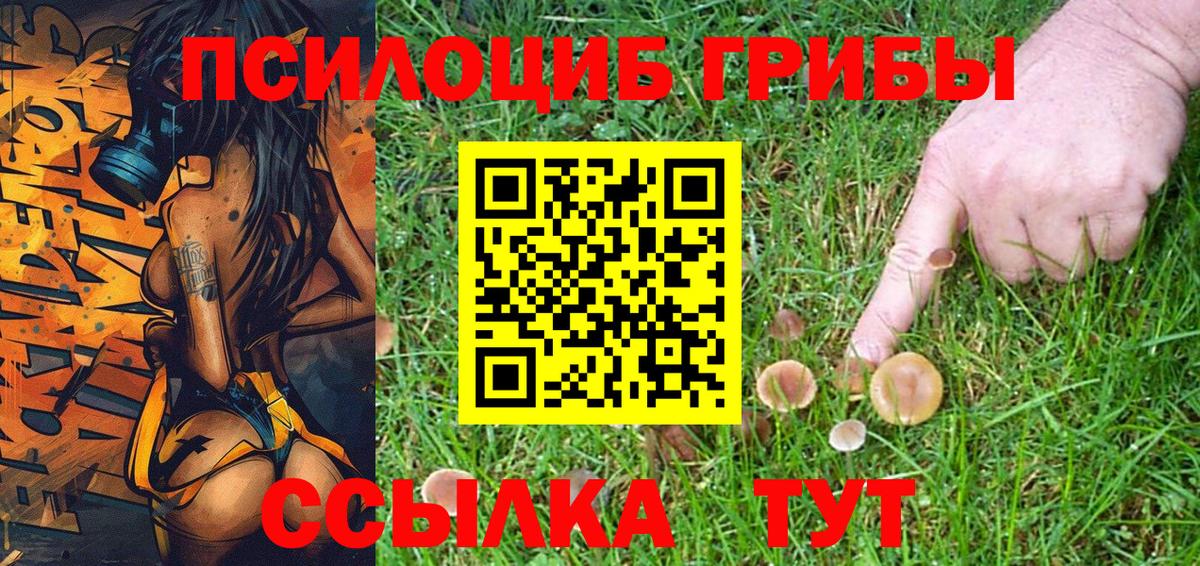 Псилоцибиновые грибы Psilocybine cubensis Мыски